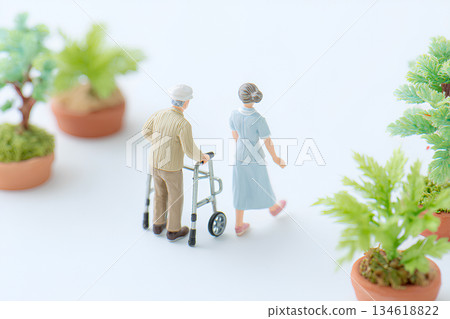 老年人和照護者使用助行器進行復健治療（3D）/ Mamio Design 福利系列 134618822