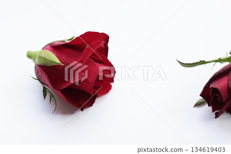 Red rose on white backkground. Red rose on white backkground. 134619403