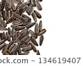 Roasted sunflower seeds on white background. 134619407