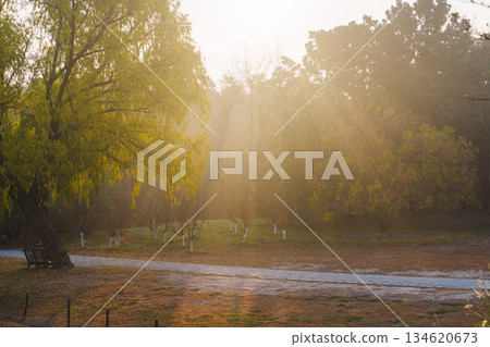 Autumn morning sunlight shines on the park path 134620673