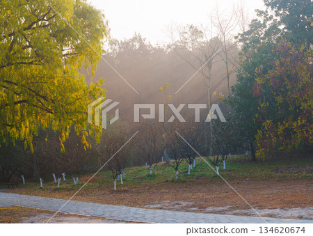 Autumn morning sunlight shines on the park path 134620674