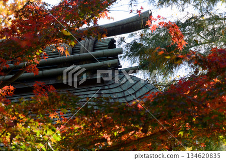 秋葉裝飾著九本寺 134620835