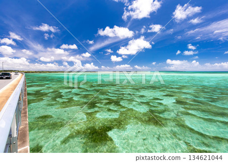 Irabu Ohashi 134621044