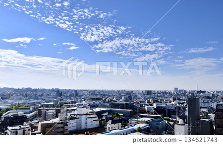 晴朗日子裡名古屋南部的景色 134621743