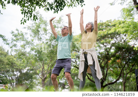 Glasses old man and old woman stretching arms up while doing a yoga or qigong move together in park. 134621859