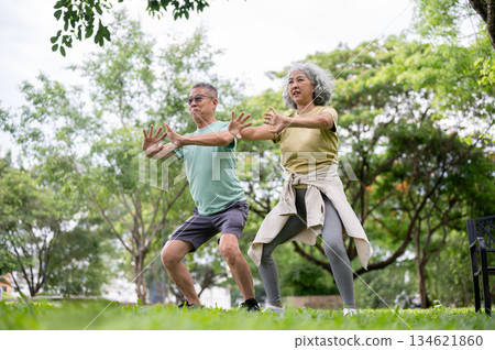 Glasses old man and old woman standing and doing yoga or qigong move together on grass lawn in park. Glasses old man and old woman standing and doing yoga or qigong move together on grass lawn in park. 134621860