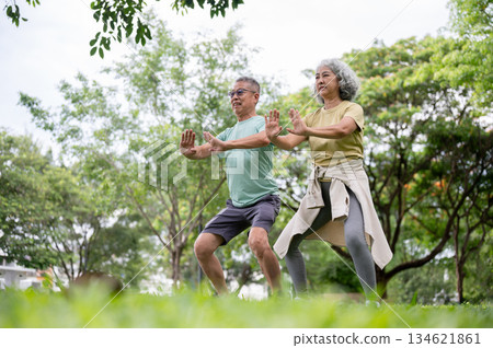 Glasses old man and old woman smiling while standing and doing yoga or qigong move together in park. 134621861