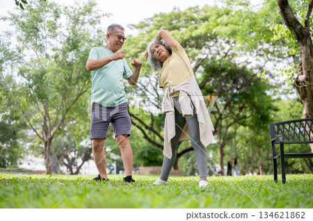 Glasses old man in boxing pose and old woman stretching arms while standing together on grass in park. 134621862
