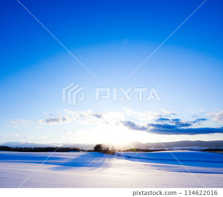 北海道美瑛山區的冬日黃昏景色 北海道美瑛山區的冬日黃昏景色 134622016