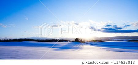 北海道美瑛山區的冬日黃昏景色 134622018