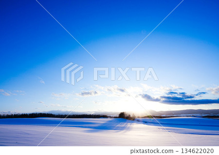 北海道美瑛山區的冬日黃昏景色 134622020