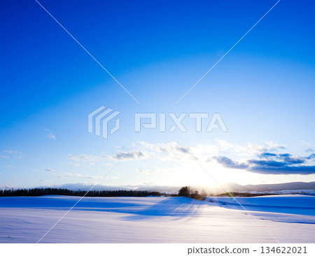 Winter scenery of the hills of Biei, Hokkaido, near dusk 134622021
