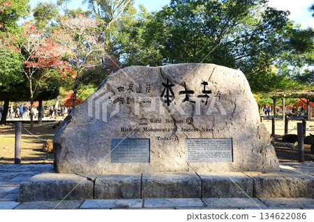 秋天的奈良公園 134622086