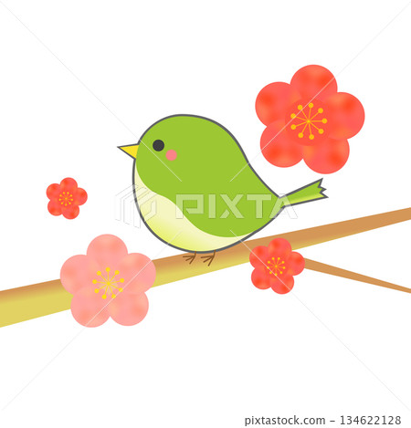 Plum blossoms and beetle Plum blossoms and beetle 134622128