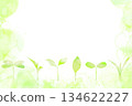 A refreshing spring watercolor frame with various shaped sprouts. 134622227
