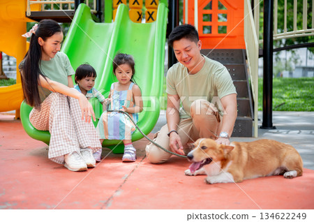 Asian girl and boy on climbing slide holding a leash on corgi puppy with mom and dad in a playground 134622249