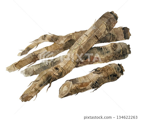 牛蒡根用和紙表達 134622263