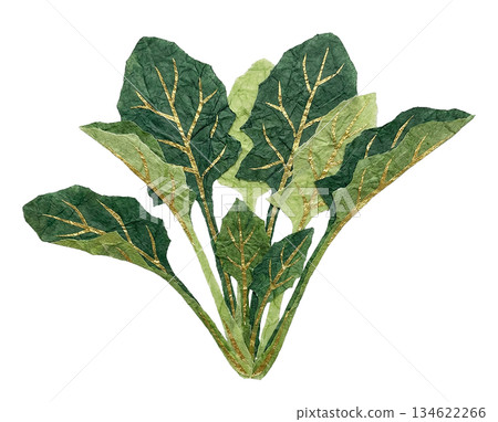 用和紙擠壓的菠菜 134622266