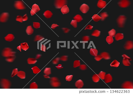 Floral black background with red rose petals flying Floral black background with red rose petals flying 134622363