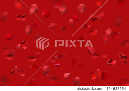 以紅色花卉為背景，漫天飛舞的紅玫瑰花瓣。 134622364