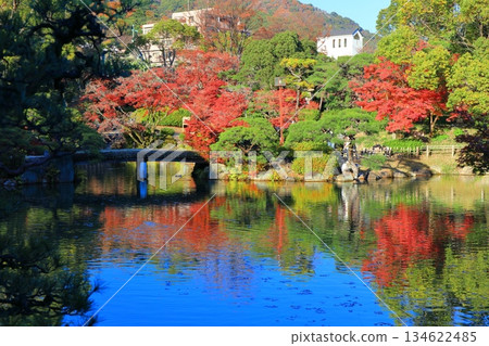 [Hyogo Prefecture] Autumn leaves at Sorakuen Garden on a clear day 134622485