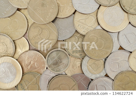 Many Hungarian forint coins in big pile close up. Forint is an official Hungarian currency Many Hungarian forint coins in big pile close up. Forint is an official Hungarian currency 134622724