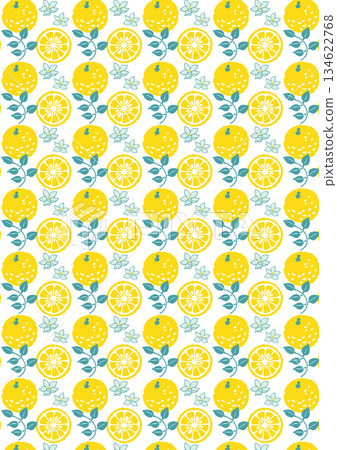 Retro style simple and pop yuzu illustration pattern 134622768