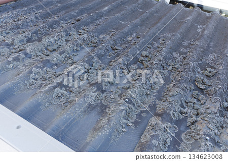 Moss on the roof Deterioration over time 134623008