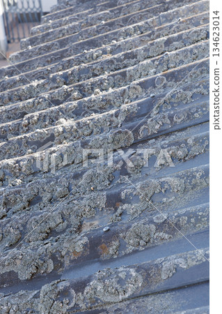 屋頂上的青苔隨著時間的推移而逐漸損壞 屋頂上的青苔隨著時間的推移而逐漸損壞 134623014