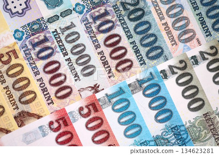 Hungarian Forints currency money bills in big amount. Stack of HUF currency banknotes with different denomination close up 134623281