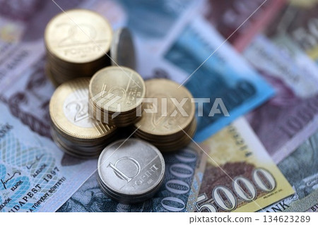 Hungarian Forint currency money bills and coins. Many HUF currency banknotes and coins close up 134623289