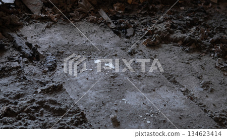 Dust, dirt, and pieces of broken material are visible on an old floor in a building that is undergoing renovation. Light reveals the signs of neglect and disrepair. 134623414