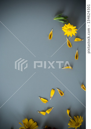 Delicate garden flowers close-up on gray background Delicate garden flowers close-up on gray background 134624301