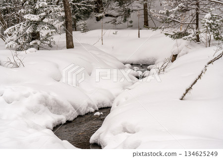 A stream between snow-covered banks in the forest in early spring. A stream between snow-covered banks in the forest in early spring. 134625249