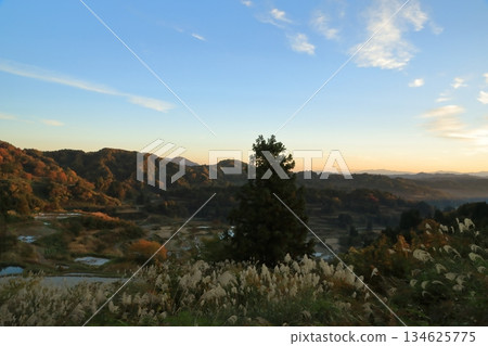 十日町星峠梯田秋葉美景 134625775