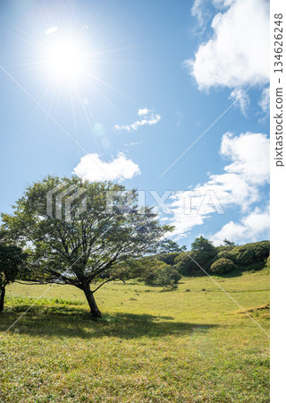 View from the summit of Nyudogatake, Mie Prefecture View from the summit of Nyudogatake, Mie Prefecture 134626248