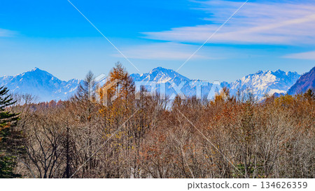 從戶隱眺望白雪皚皚的北阿爾卑斯山脈。 134626359