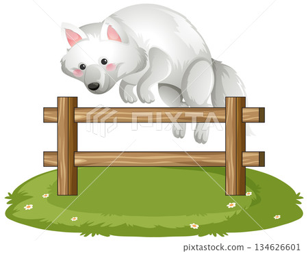 White Arctic Fox Jumping Over Wooden Fence on Grass White Arctic Fox Jumping Over Wooden Fence on Grass 134626601