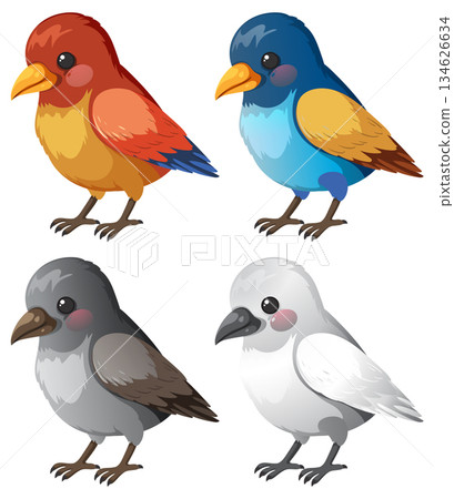 Colorful Cartoon Birds Set in Vector Illustration 134626634