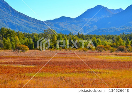 [Oku-Nikko] The Lady of Odashirogahara and Autumn Grass Leaves 134626648