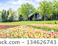 Tulip, Country House Takino Suzuran Hills Park Sapporo City 134626743