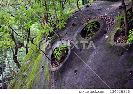 Concrete Structure with Plants in Circular Openings 134626836