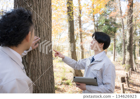 工作人員檢查並砍伐倒下的樹木。實地考察和其他調查工作。 134626923