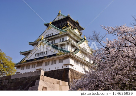 Osaka Castle: Cherry Blossom Season Osaka Castle: Cherry Blossom Season 134626929
