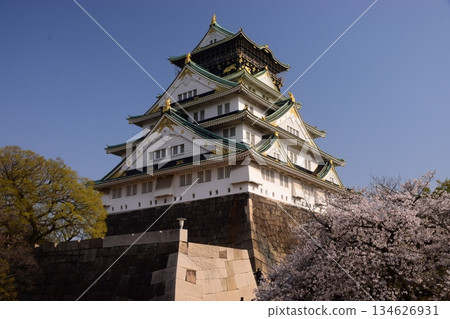 Osaka Castle: Cherry Blossom Season 134626931