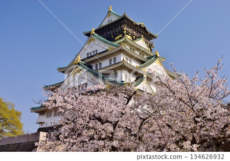 Osaka Castle: Cherry Blossom Season 134626932