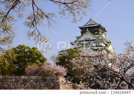 大阪城:櫻花季 大阪城:櫻花季 134626947