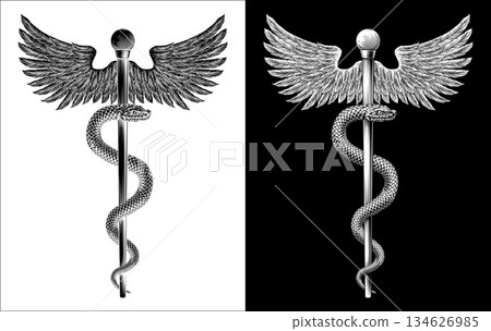 Rod of Asclepius Caduceus Medical Doctor Symbol 134626985