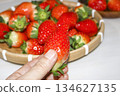 Fresh, juicy, sweet red strawberries. 134627135