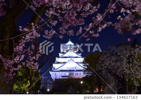 Osaka Castle Spring Light-up 134627163